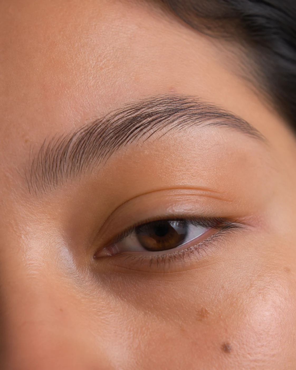 Material del curso Therapy Brows